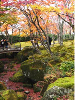 箱根美術館庭園の写真