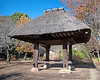 �����̍��q�i�]�˖����j