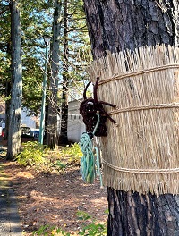 �����ɓŒw偒��ӁI