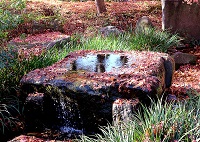 �g�t�̏��������1