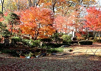 �g�t�̏��������2