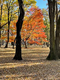 �g�t�̏��������3