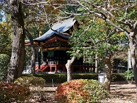 �����؉@�쉮�i�c��5�N�j